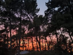 Angeli_Varano_14.09