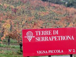 serrapetrona20